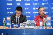 中超“黑八奇迹”再现：哈维尔与舒尼奇如何重塑中原铁军的铁血防线